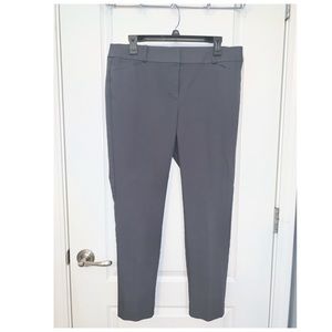 Loft Size 10 CURVY Pants